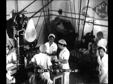 Cheese production in a factory near Ragusa 1962