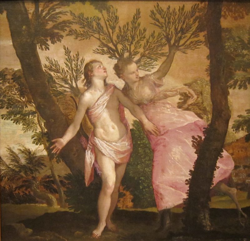 Apollo und Veronese Daphni
